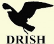 Drish Infotech Limited