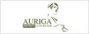 Auriga Partners