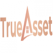 TrueAsset Consultancy