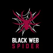 Black Web Spider - Web Design Agency