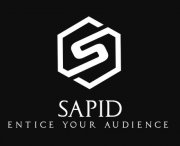 Sapid Agency Seo Services In New York