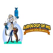 Airology of MS