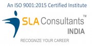 SLA Consultants Delhi logo image