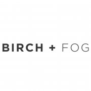 Birch and Fog