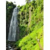 Materuni Waterfalls Coffee Tour Day trip | Best Tour Operators from Arusha and Moshi with AFRICA NATURAL TOURS LTD