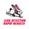 Leak Detection Rapid Results  