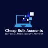 Best Bulk Social Media Accounts Provider - Cheap Price 