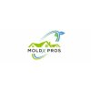 Moldx Pros - Mold Inspection, Removal & Remediation