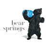 Bear Springs - Battled Water Services