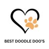 Best Doodle Doo's