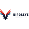 Birdseye Surveillance
