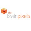 The Brain Pixels