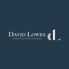 David Lowes Real Estate Group