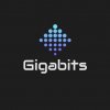 Gigabits Computer Repair and IT Solutions