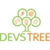 Devstree IT Services Canada