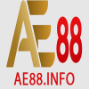AE88 Info
