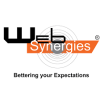 Web Synergies (India) Pvt. Ltd.