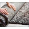 Carpet Cleaning Newstead