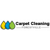 Carpet Cleaning Forestville