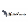 Millie Parrot Homes