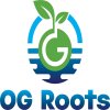 OG Roots Organic Vegetables in Gurgaon