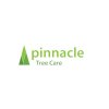 Pinnacle Tree Care 