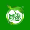 Nellickal nursery