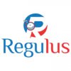Regulus Pharmaceuticals - Best PCD Pharma Company in India
