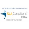 SLA Consultants Delhi