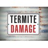 The Big Apple Termite Removal Experts