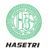 Hasetri Tyre Research Institute