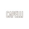 Capelli Salon Design District
