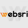 Websri - Mobile & Web App Development Company