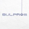 BULPROS logo image