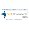 SLA Consultants India logo image