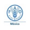 Food and Agriculture Organization of the United Nations (FAO) logo image