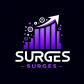 Lead Surges - SEO Agency | Digital Marketing logo image