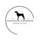 Rhodesian Ridgebacks of Texas logo image
