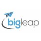 Big Leap logo image