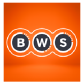 BWS Noosa Fair logo image