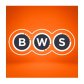 BWS Malaga logo image