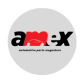 Amex Auto Parts logo image