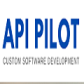 API Pilot logo image