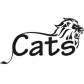Big Cats Safari logo image