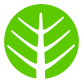 Evolve Pest Control logo image