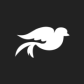 Sparrow Group logo image