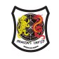 Dragons United Martial Arts Academy logo image