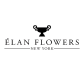 Elan Flowers logo image