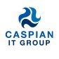 Caspian IT Group logo image