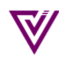 VivaValet logo image